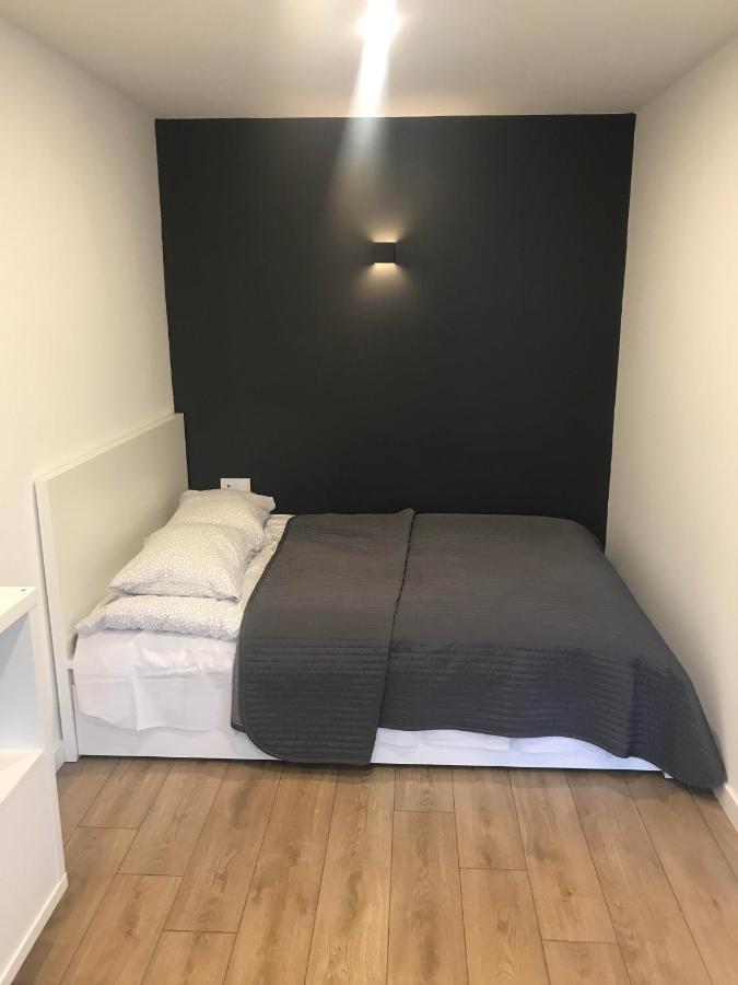 Biliuno Studio Apartman Anykščiai Kültér fotó